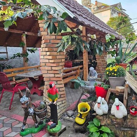 Apartman Centar Srbobran Extérieur photo